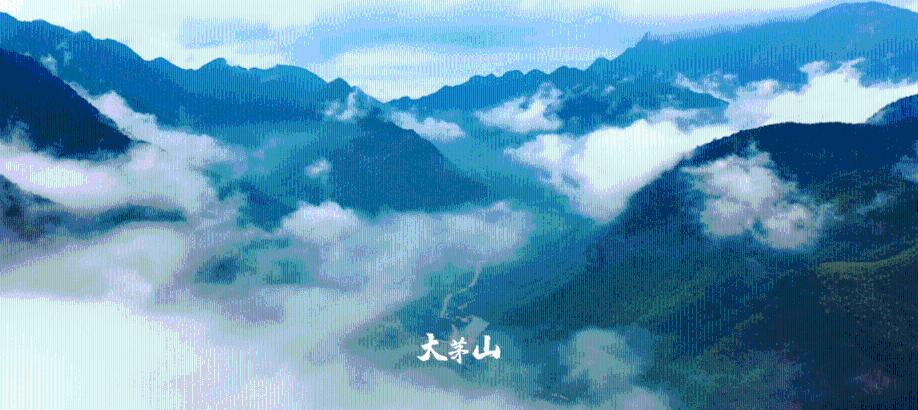 成绩不好,出身也不好,如何在如今瞬息万变的社会立足?- 红迪网平台