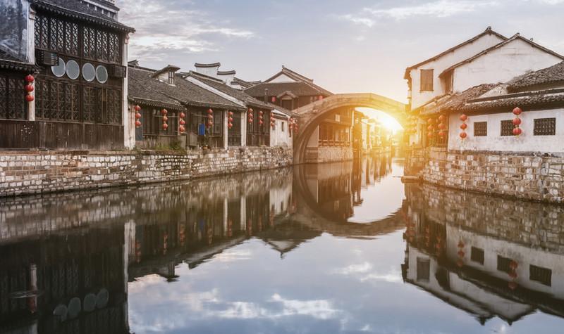 动物帮帮忙保卫家园